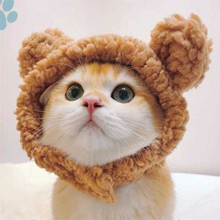 고양이 모자 야옹이모자 털모자 고양이패션 강아지모자 강아지겨울모자