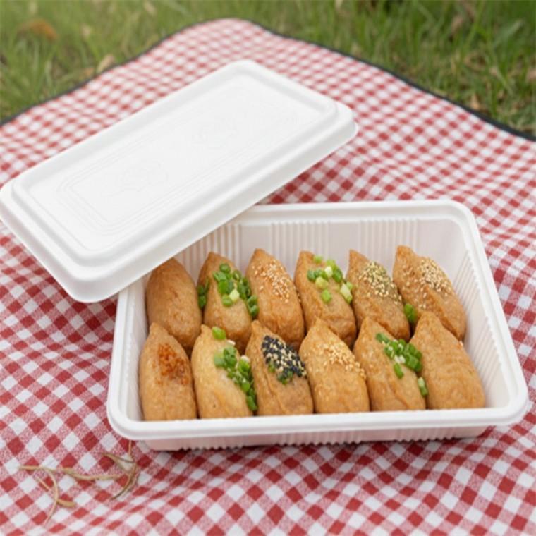 김밥도시락 5P 꼬마김밥포장용기 샌드위치포장용기 소풍도시락통 삼각김밥용기 샐러드용기