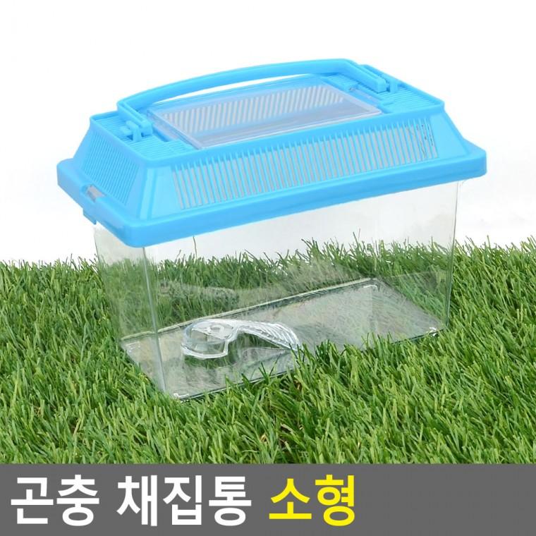 곤충채집통 물고기채집통 해루질장비 컬러 플라스틱 채집통 소형