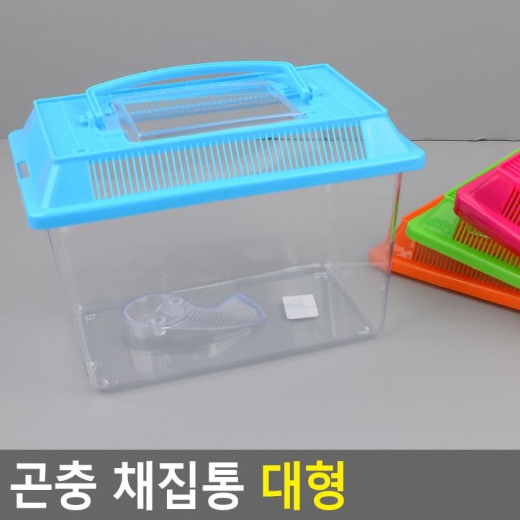 곤충 채집통 대형 곤충채집통 사각채집통