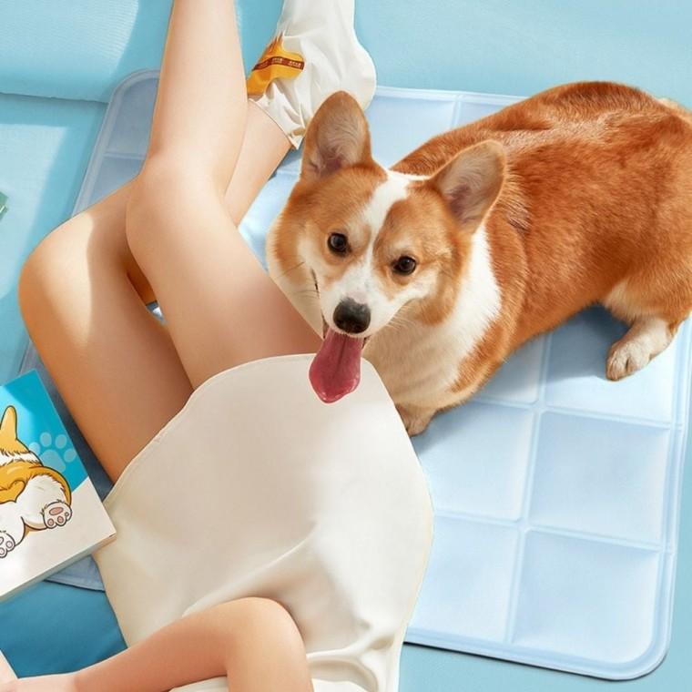 쿨 방석 반려견 강아지 쿨매트