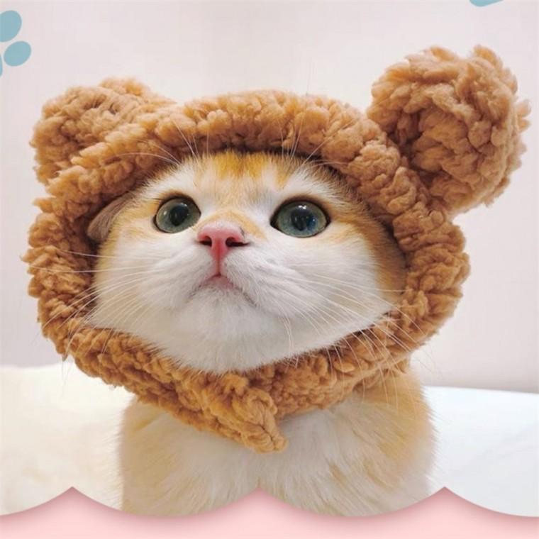 고양이 모자 이쁜강아지옷 고양이패션 고양이옷