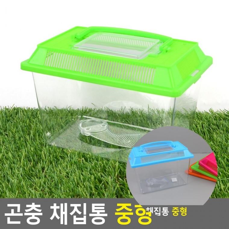 곤충 채집통 중형 다슬기채집통 곤충관찰통 햄스터집