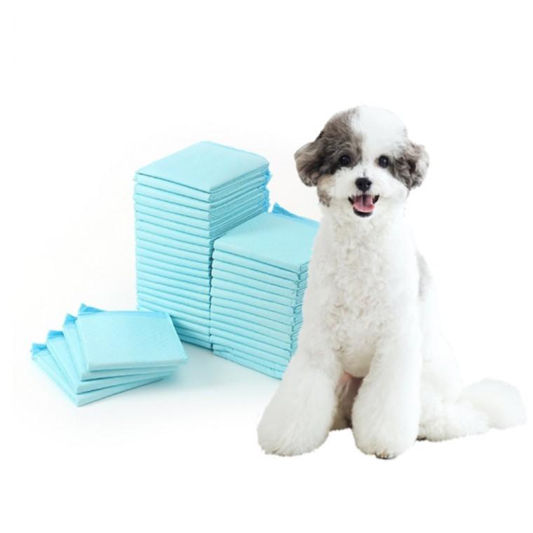 배변패드 40매 도톰한 60x60cm 흡수력좋은배변패드 강아지배변패드중형 두꺼운배변패드