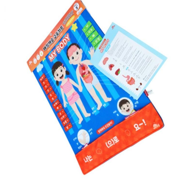 토독차트 나의몸 놀이교구 벽걸이놀이판