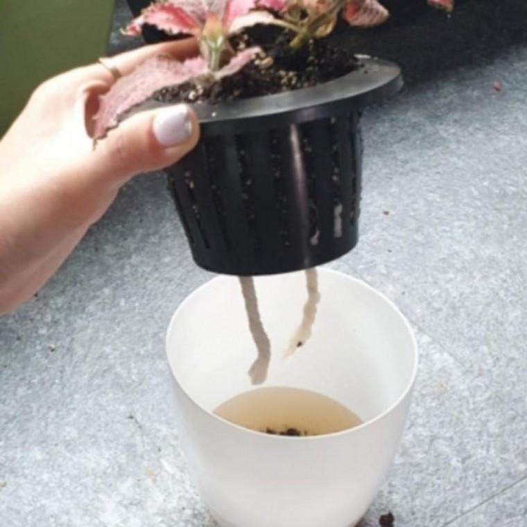 중형 1개 자동 급수 원형 화분 매일 물 안줘도 되는 화분
