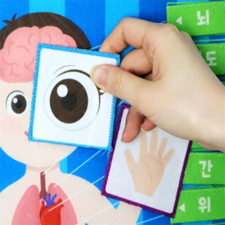 신체포스터 유아신체놀이 유치원교구
