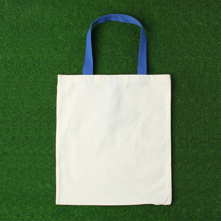 PL 클래식 에코백 패커블 커스텀 무지 에코백(35x40cm) (블루) No49