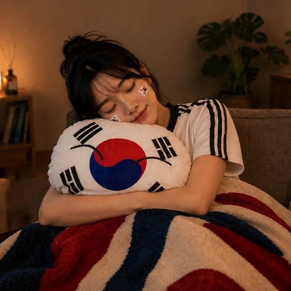 경기 응원 굿즈 홈인테리어를 동시에 만족시키는 원형 태극문양 소프트 쿠션