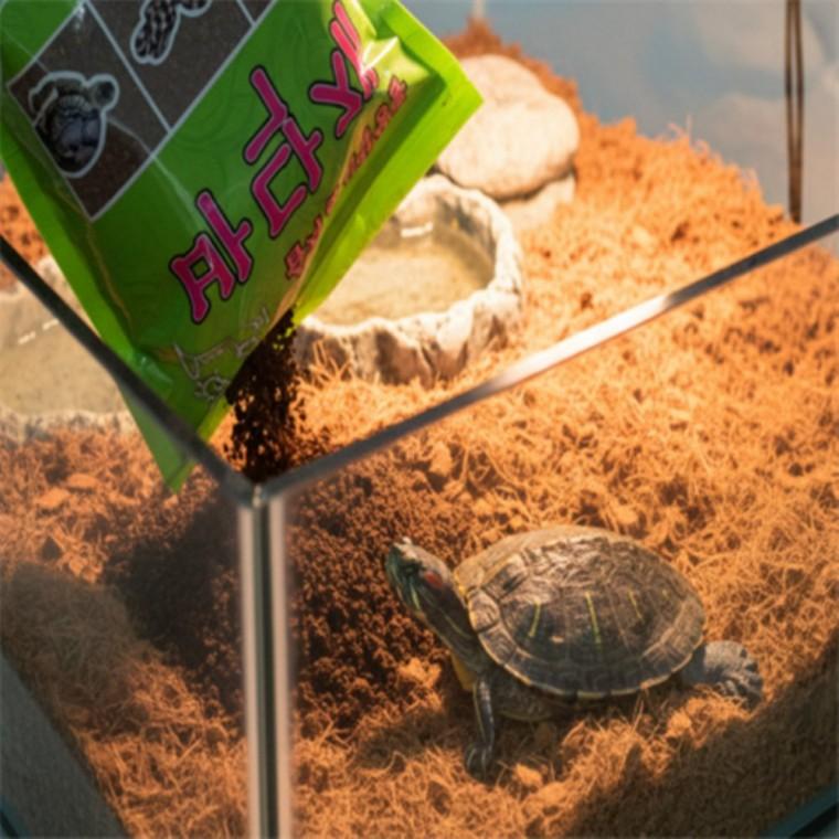 달팽이바닥재 도마뱀용품 도마뱀바닥재