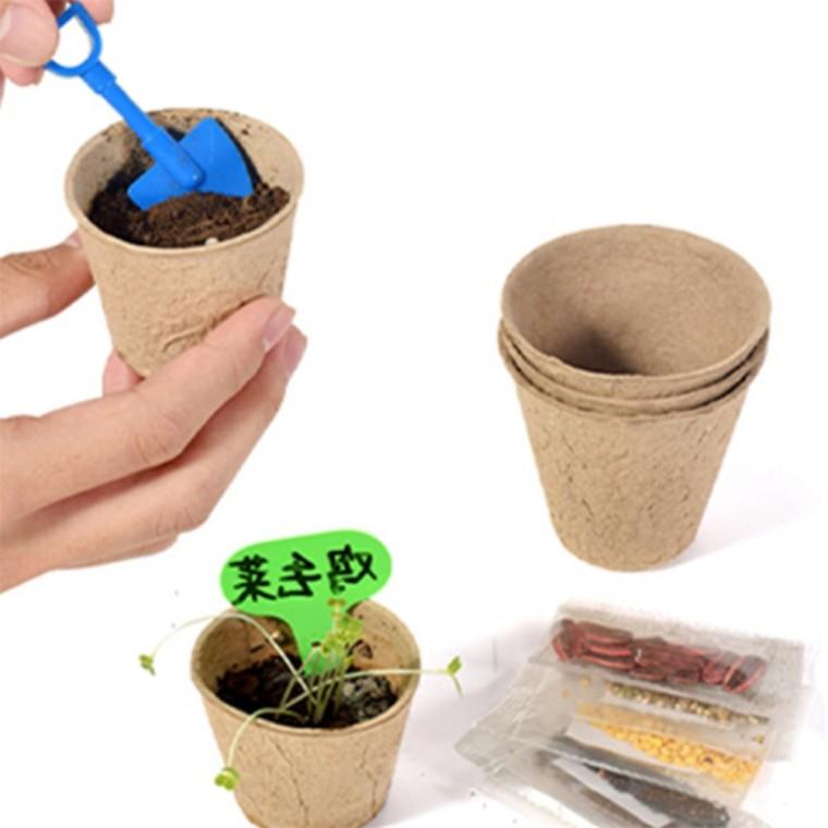 모종 화분 모종키우기 방울토마토화분 다육이화분