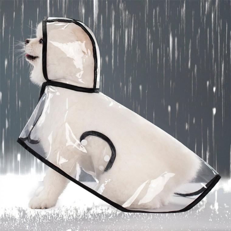 강아지 레인코트 소형견 강아지바디수트 개우비 강아지코트