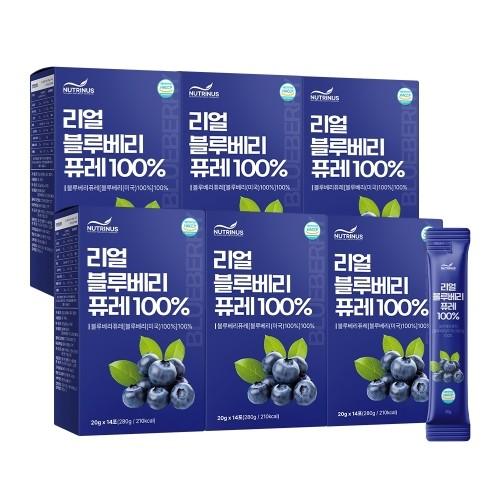 뉴트리너스 리얼 블루베리 퓨레 100% 20g x 14포 x 6박스