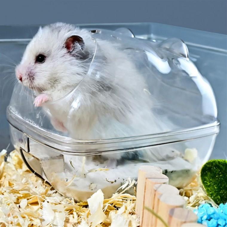 햄스터집 햄스터은신처 햄스터분양