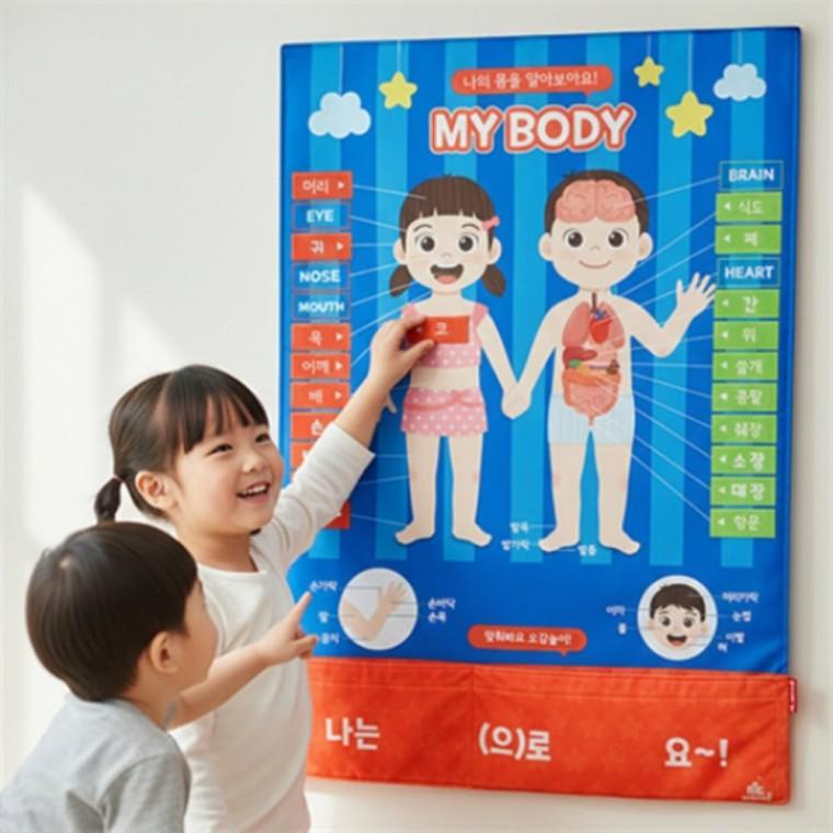 어린이집 영유아 신체 펠트 교구 벽보 아기몸벽보 영어펠트교구 우리몸벽보