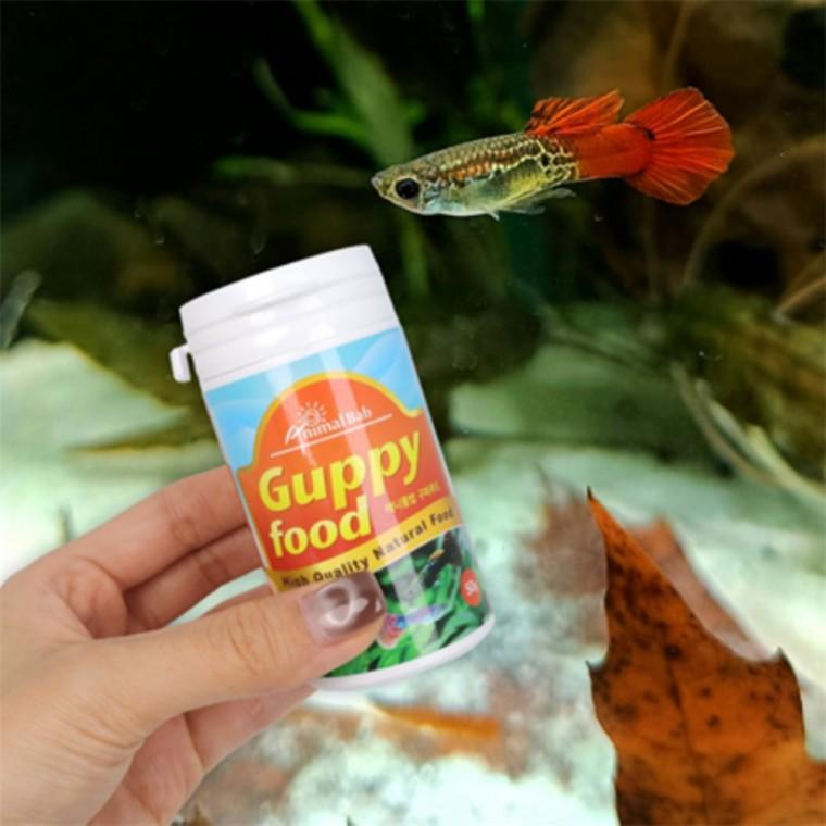 관상열대어 50g 구피먹이 열대어키우기