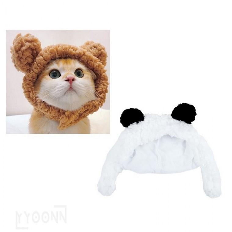 고양이 퍼피 촬영 털모자