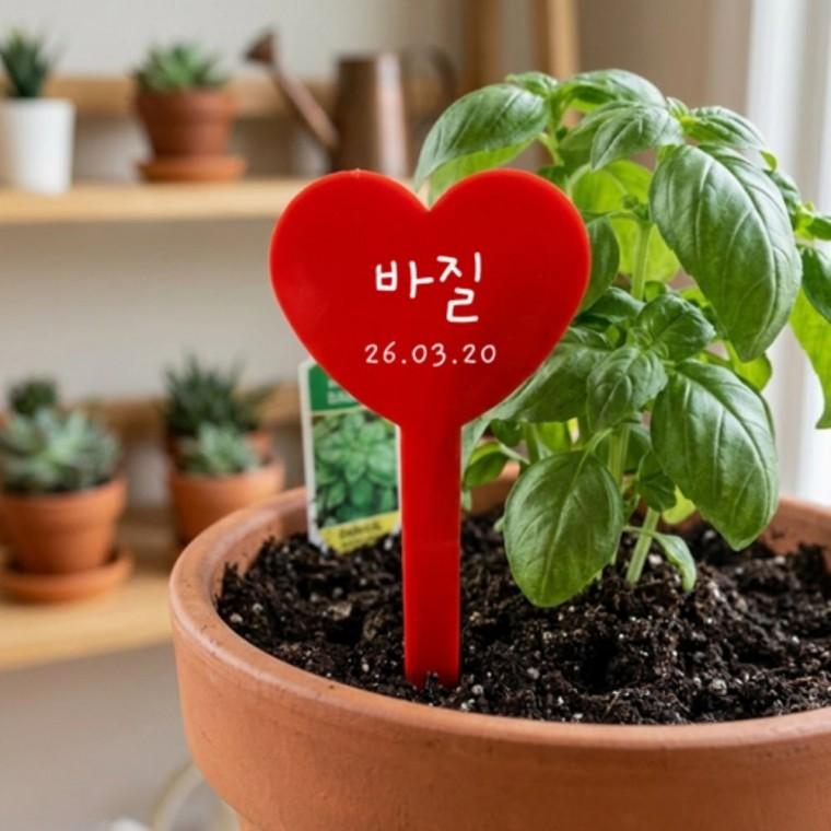 식물라벨 20p 텃밭팻말 수목라벨 수목명찰