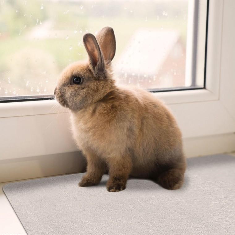 고양이 반려동물 패드 여름용 대형견 강아지 쿨매트