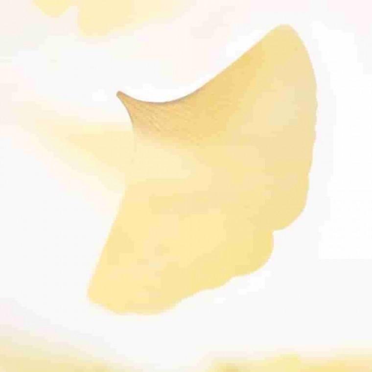 투명은행 Yellow M 독서메모 투명메모지 투명인덱스