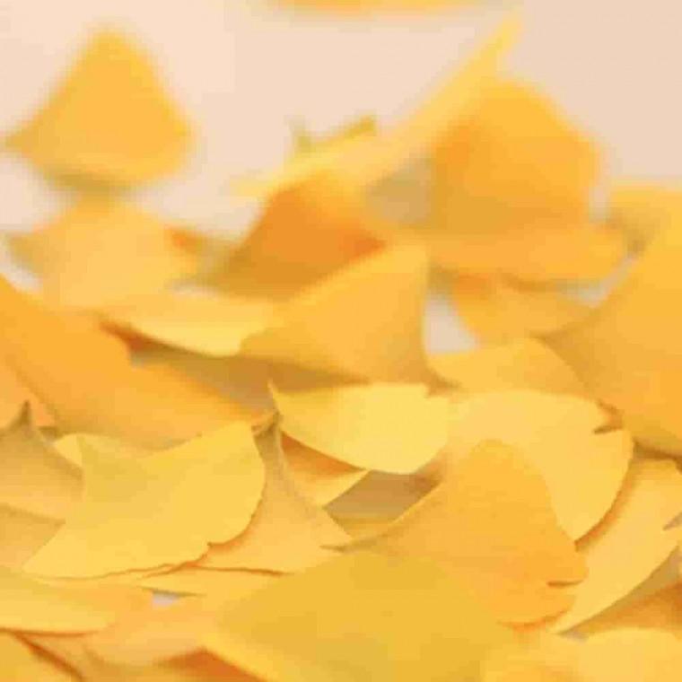 스티키리프 은행 Yellow L 점착식메모지 독서메모 접착메모지