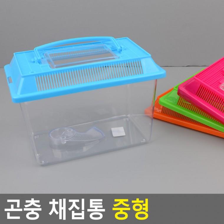 곤충 채집통 중형 사각채집통 곤충채집