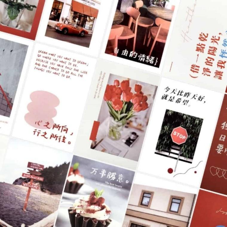 컬러 엽서 장밋빛 포토엽서 엽서디자인