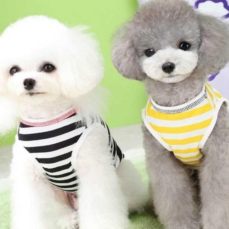 강아지 여름 부드러운 시원한 쿨 스트라이프 나시 티
