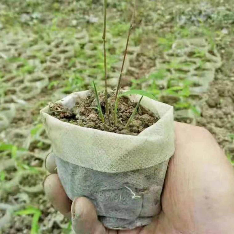 사각 부직포 화분 100P 원예자재 원예부자재 화분덮개 꽃뚜껑 화분부자재