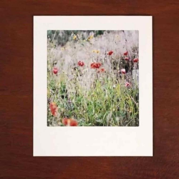 전시용액자 사진프레임 심플액자 종이프레임 종이액자 화이트 5x5 10장