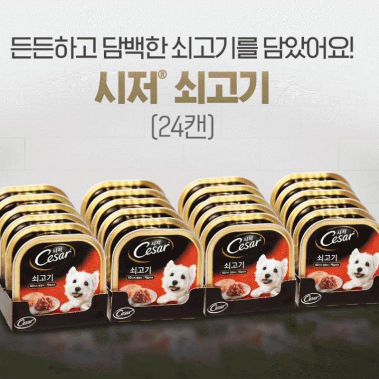 사료 캔 시저 애견 소고기 100g 24개 cesar wet dog food