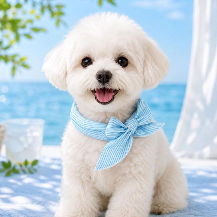 반려동물 쿨 깔끔한 아이스 스카프 강아지 고양이 쁘띠스카프