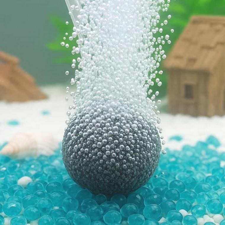콩돌 어항공기 수족관콩돌