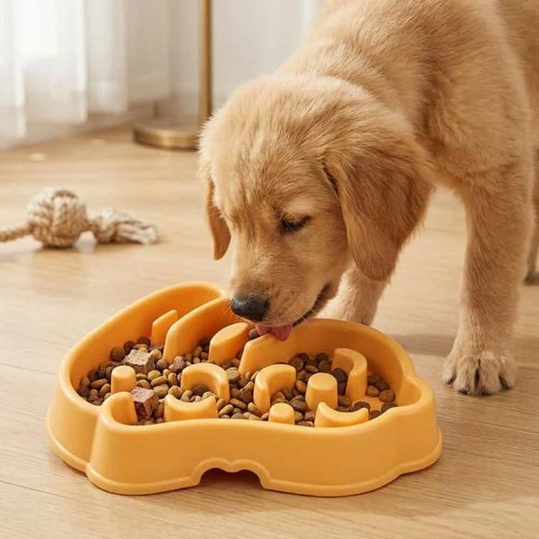 느리게 강아지 식기 미로 고양이 식기 반려동물 밥그릇 고양이그릇 강아지밥그릇
