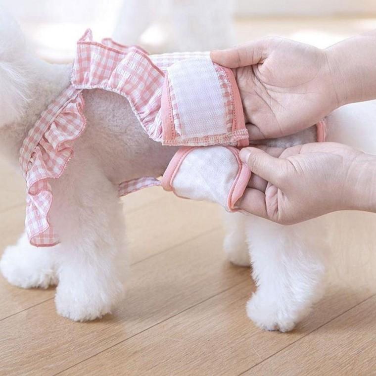 강아지 생리 팬티 암컷 기저귀 위생 속옷 애견 용품 대형견 중형견 견위생 생리옷 반려