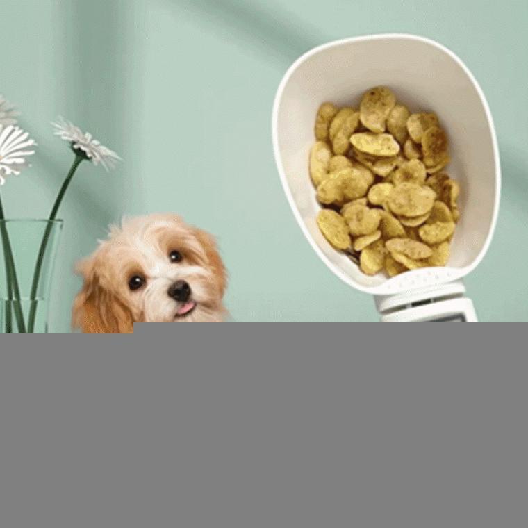반려동물 사료 계량 디지털 저울 스푼 강아지 고양이 전자 scale
