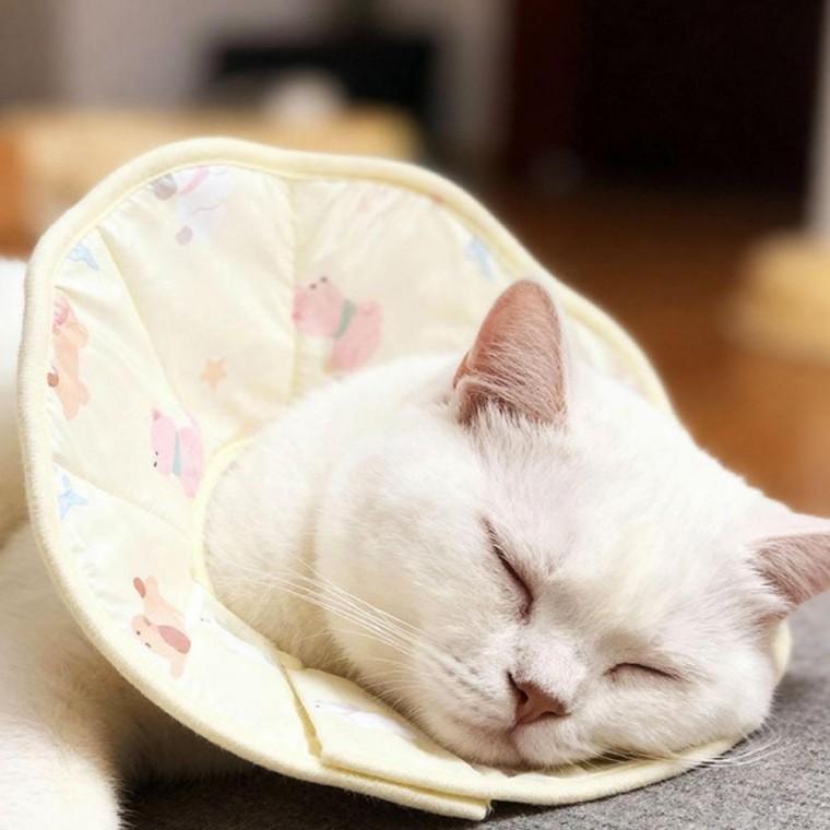 반려동물 고양이 고양이상처보호 상처보호 패브릭 강아지 넥카라