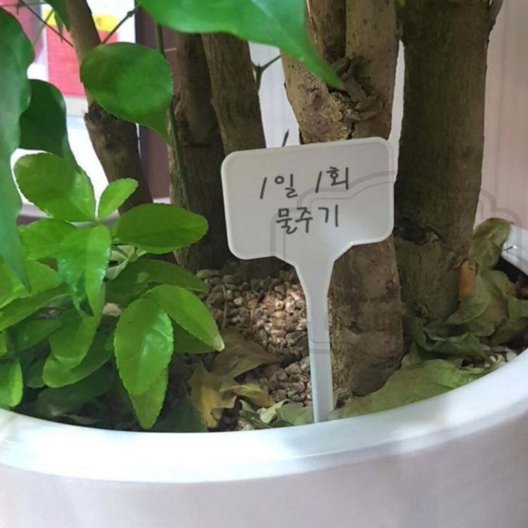 화분 푯말 꽂이 네임텍 관리 식물 이름표