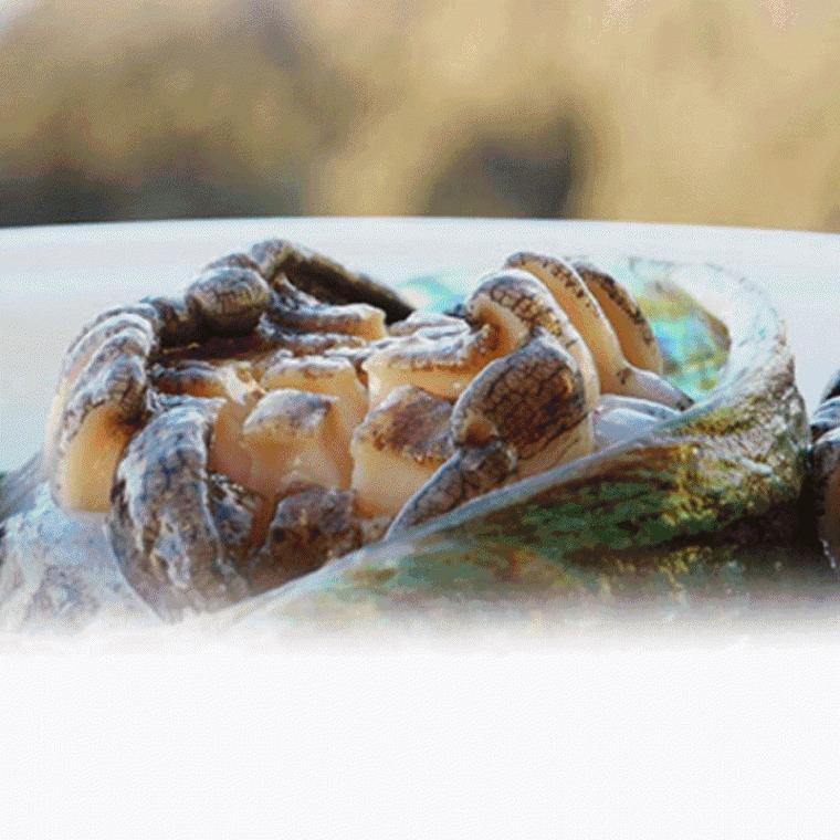 Premium 활 전복 특대 7-8미 완도 국내 1kg abalone