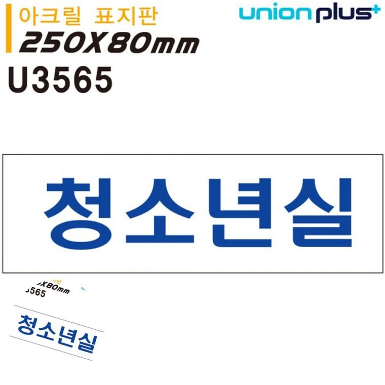 아크릴문패 안내표지판 방문문패 교실표찰 문패 표지판 아크릴 청소년실 250x80mm