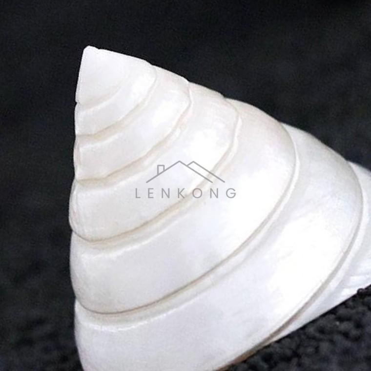 수족관용품 어항장식 수족관꾸미기 수조꾸미기 가정용수족관 어항바닥재