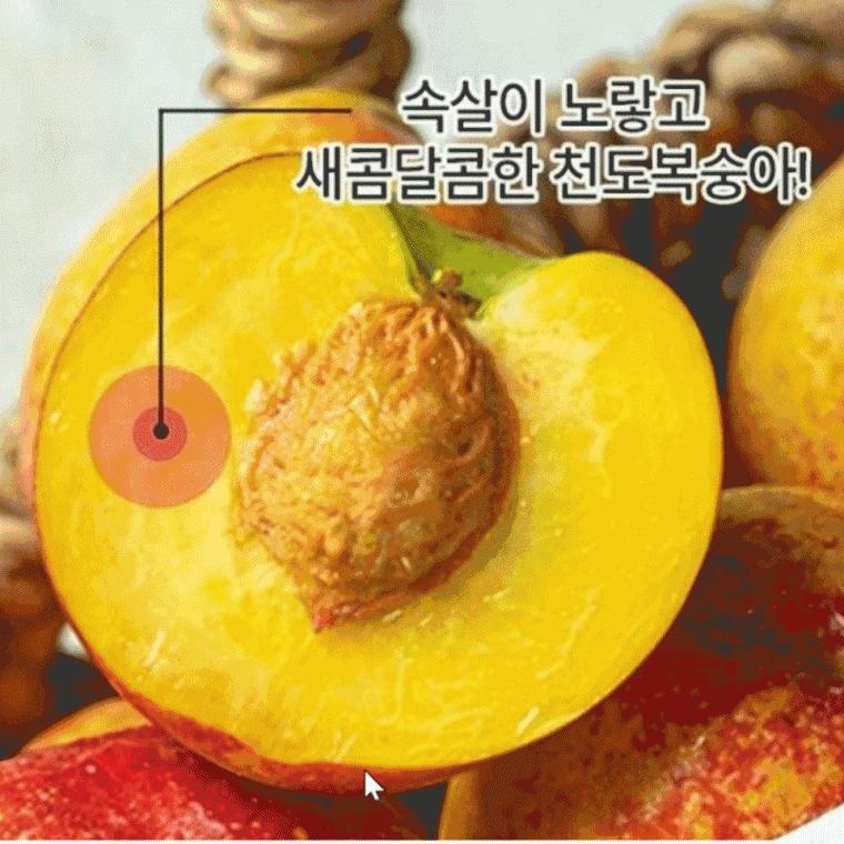 Premium 복숭아 용성 옹골찬 천도 경산 2kg 로얄과 12-22과 special peach