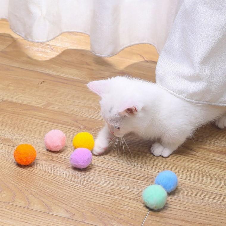 PET 고양이 양모볼 냥모볼 장난감 공 12개입 고양이장난감공 고양이장난감 강아지공장난감 고양이공 고양이