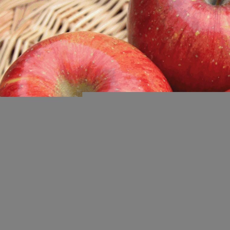 사과 국내 청송 가정용 부사 로얄과 2kg apple