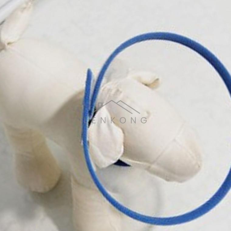 애견넥카라 M 고양이투명넥카라 강아지목카라 반려견넥카라 반려견넥카라투명 고양이목카라