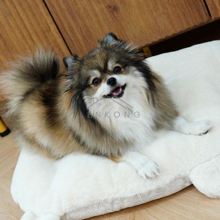 강아지쿠션 화이트 대형 반려견방석 펫쿠션 강아지방석 개방석 애견방석
