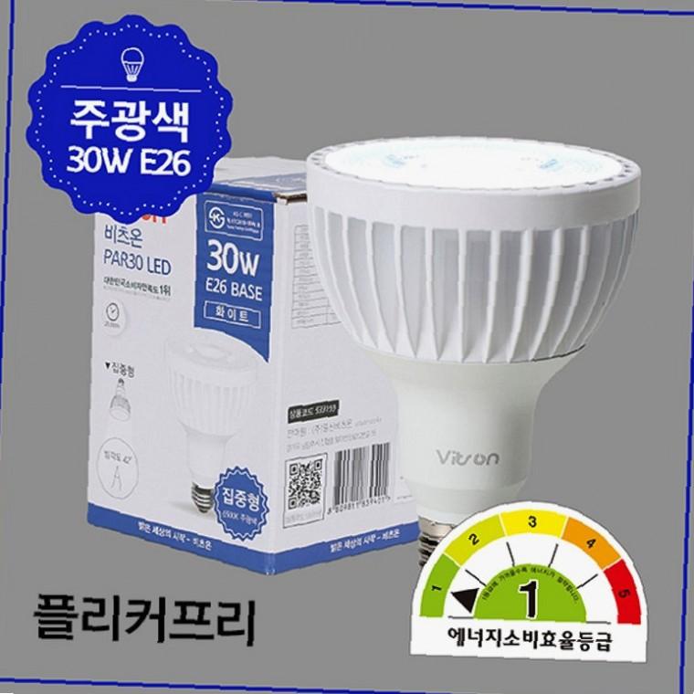 레일등 카페조명 PAR30 LED전구 30W 주광색 집중형