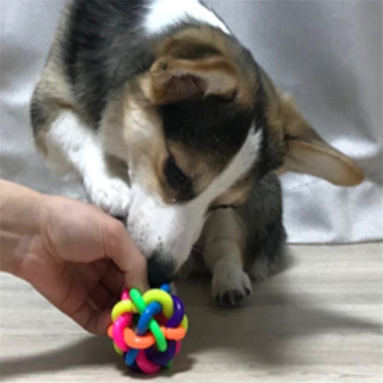 애견 방울라인볼 강아지딸랑이 강아지훈련공