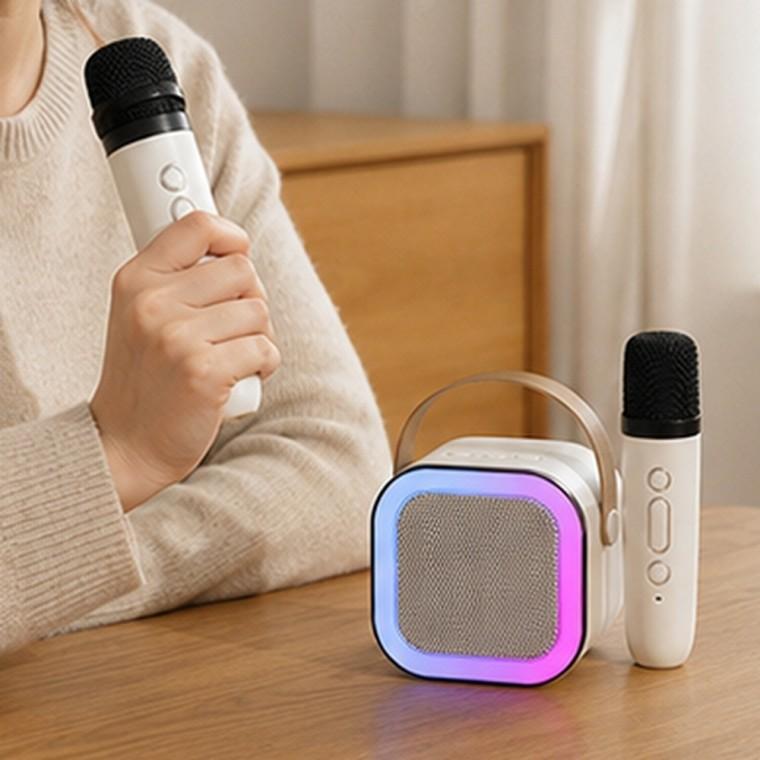 가죽 휴대용 블루투스 노래방 스피커 무선 마이크 LED 컬러 램프