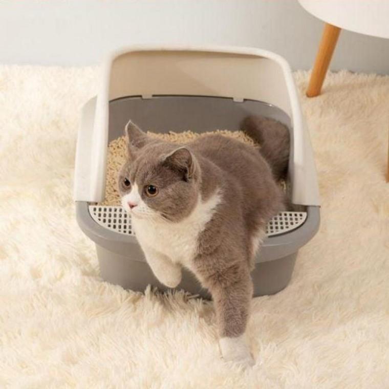 오픈 타입 고양이 화장실 실내 배변 편리함 배변판 훈련 애완 동물 용품 거름망 소형